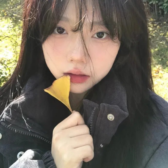 鲨鱼鳍